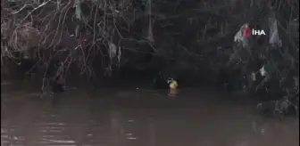 Çayda kaybolan sürücünün cansız bedeni bulundu