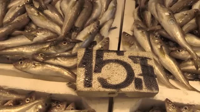 Son dakika haber: Karadenizli balıkçılar, hamsideki kısmi avlanma yasağı kararını değerlendirdi