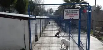 Kuşadası'nda ' yasak ırk ' tartışması