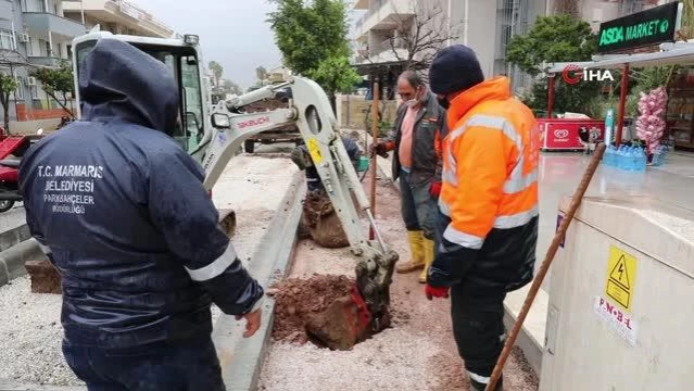 - Marmaris'te cadde yenilemesi sırasında kaldırılan ağaçlar yeniden toprakla buluştu