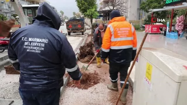 - Marmaris'te cadde yenilemesi sırasında kaldırılan ağaçlar yeniden toprakla buluştu