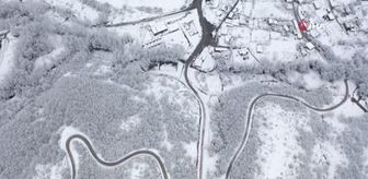 Suuçtu Şelalesi beyaza büründü