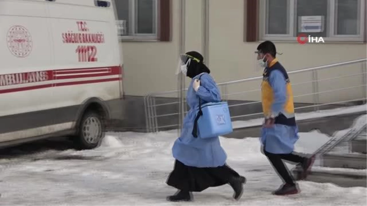 Araçları yolda kalan sağlıkçılar, karlı dağları yürüyerek Saadet Nine\'nin aşısını yaptı