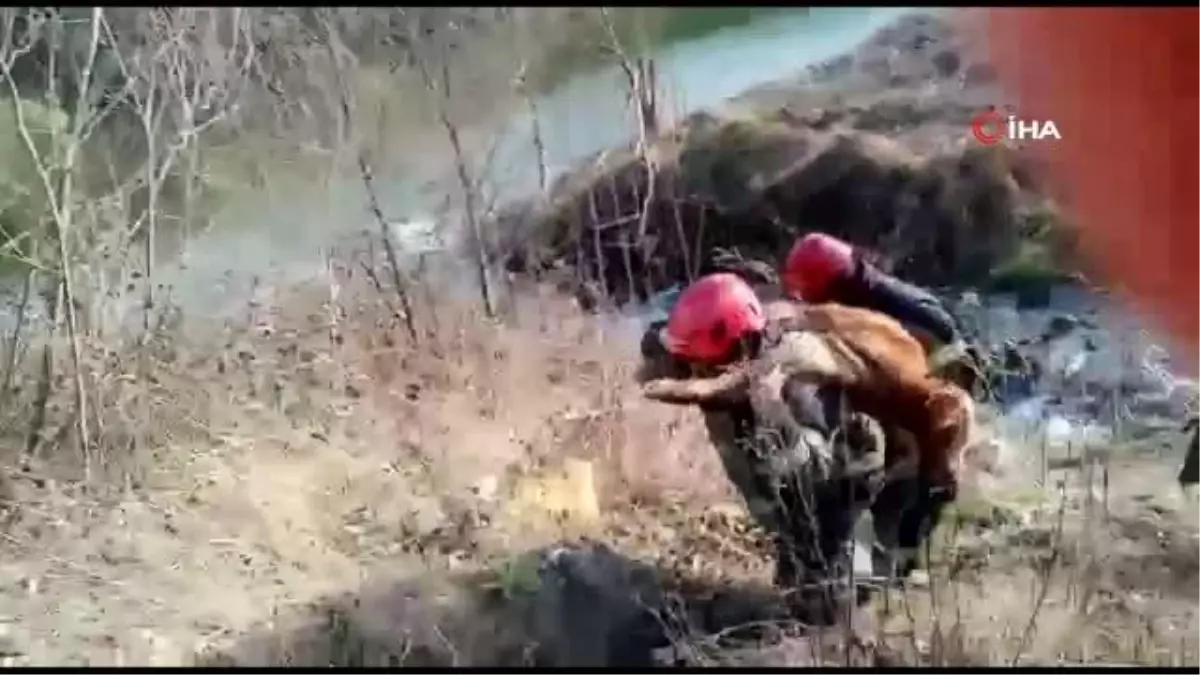 Son dakika: Çamura saplanan buzağıyı sırtında taşıyarak kurtardı