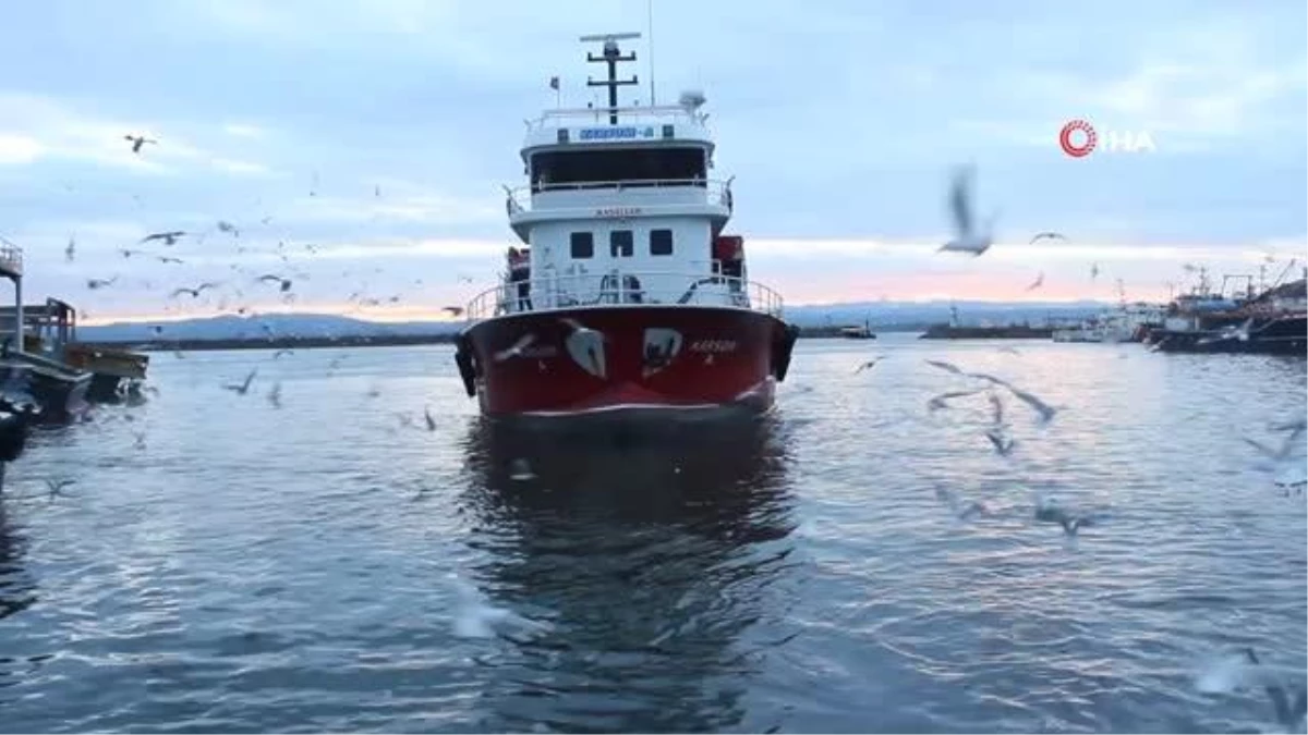 İğneada\'da balıkçılar limana boş kasalar ile dönüyor