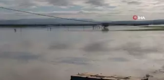 Amik Ovası sular altında...Göle dönen Amik Ovası'nda çiftçiler tarlalarını kayıkla gezdi