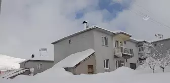 Kar yağışı hayatı olumsuz etkiledi