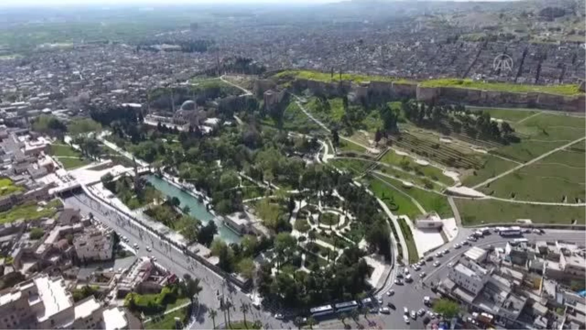 Son dakika haberi: ŞANLIURFA - Tescilli "Urfa ciğer kebabı"na ilgi salgın döneminde de hız kesmedi