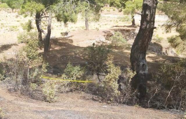 Arkadaş cinayetinde kan donduran detaylar: Dövüp silahla vurmuş, boğduktan sonra da cesedin yanması için ormanı yakmış