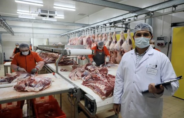 Vatandaşa döner diye tavuk derisi, kıyma, sakatat hatta tek tırnaklı hayvan eti yediriyorlar - Son Dakika Ekonomi