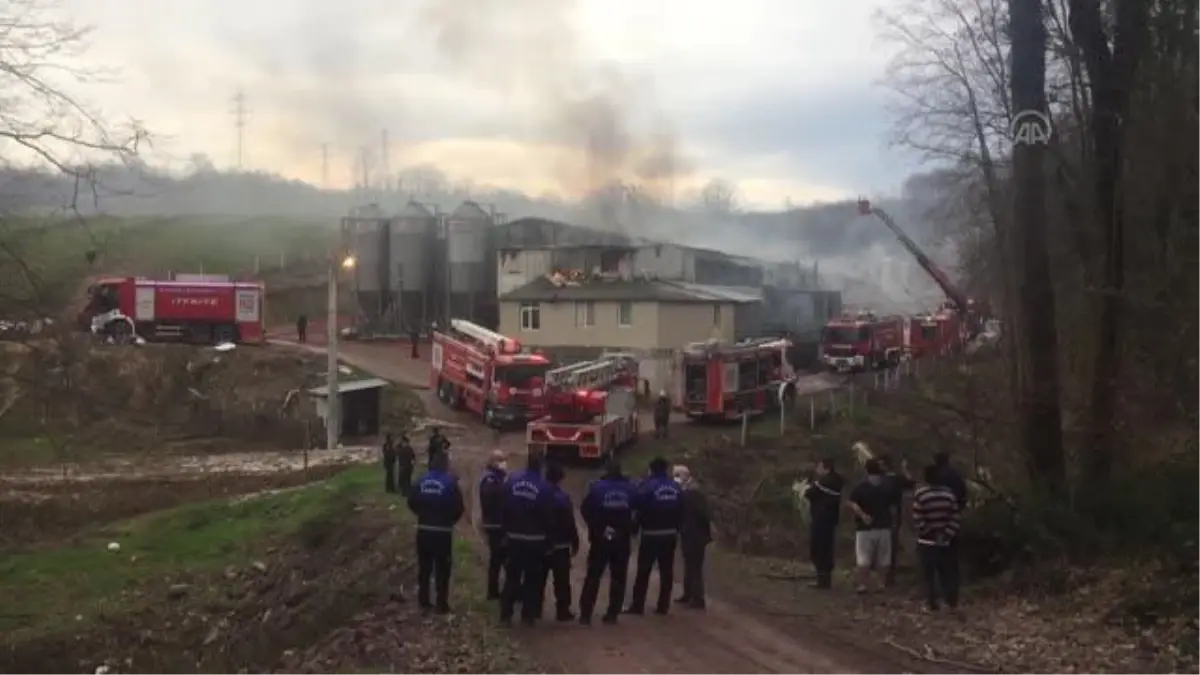 Tavuk çiftliğindeki yangın söndürülmeye çalışılıyor