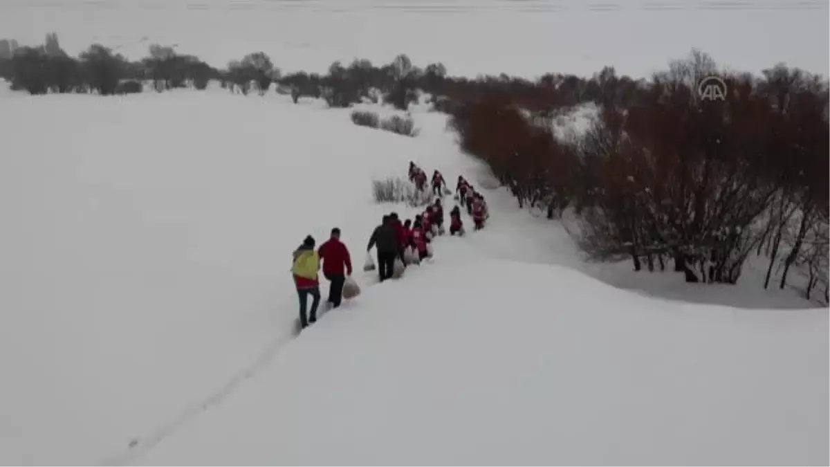 Türk Kızılay gönüllüleri, yaban hayvanları için dağlık bölgelere yem bıraktı