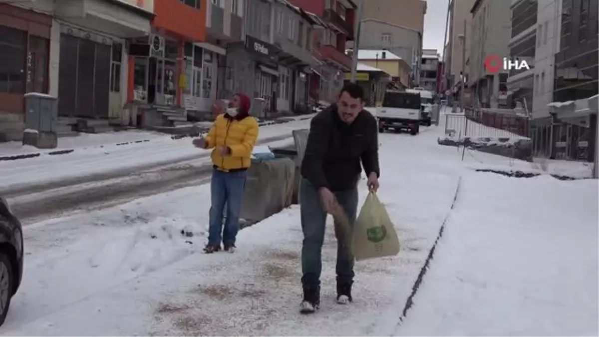 Ardahan\'da Güvercinler aç kalmıyor