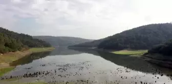 (Drone) - Barajlardaki su seviyesi yüzde 43'e yükseldi