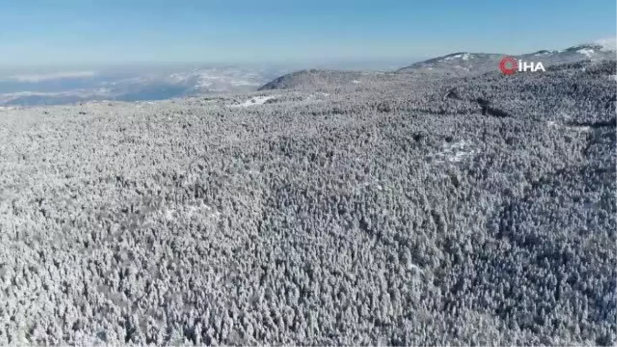 Son Dakika | İhlallerle gündeme gelen Uludağ\'da jandarma ekipleri teyakkuzda