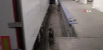 Kapıkule'de 30 milyon TL'lik dev uyuşturucu operasyonu