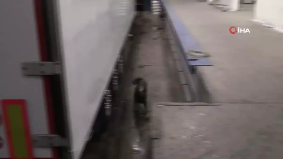 Kapıkule'de 30 milyon TL'lik dev uyuşturucu operasyonu