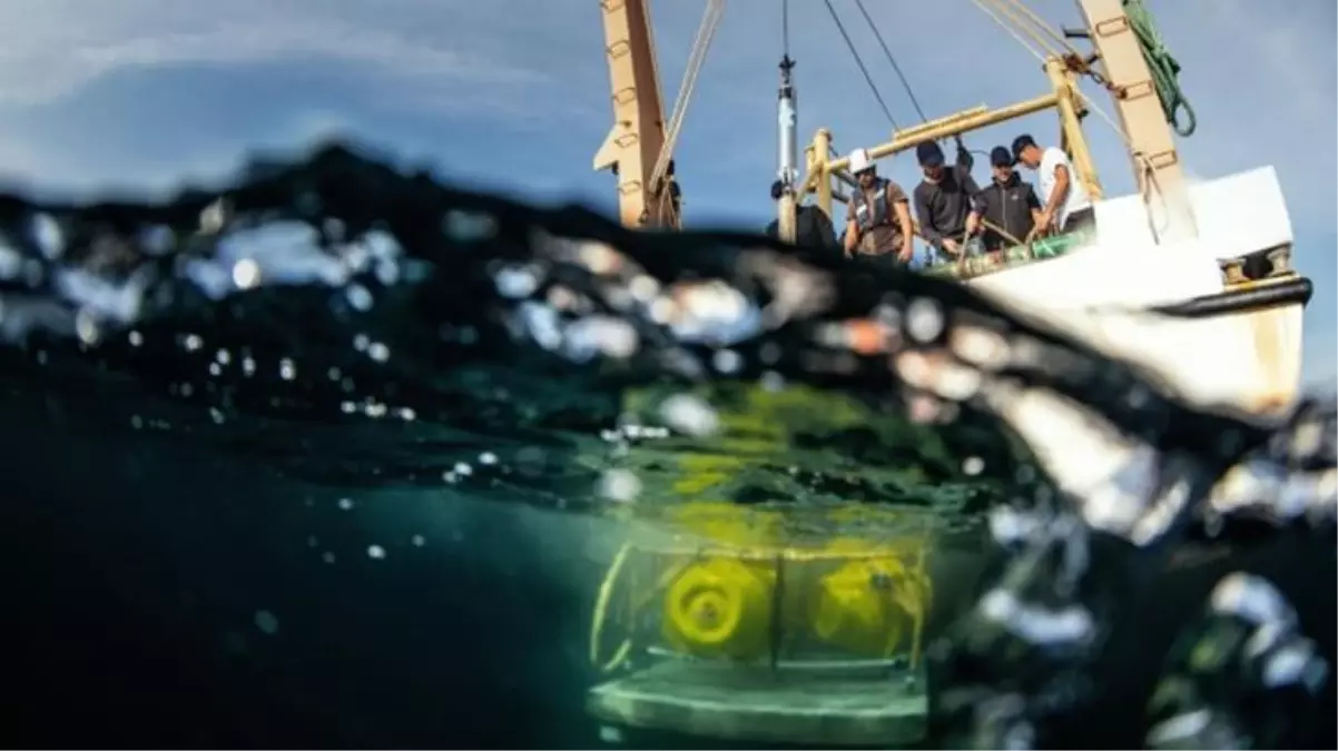 Kandilli Rasathanesi\'nin deprem araştırmaları için kullandığı 5 işaret şamandırası çalındı