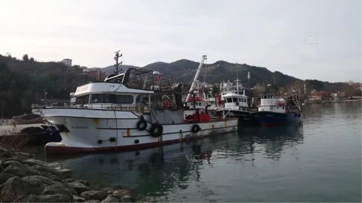 KASTAMONU - Karadenizli balıkçılar "kum midyesi" avlanma sahasının genişletilmesini istiyor