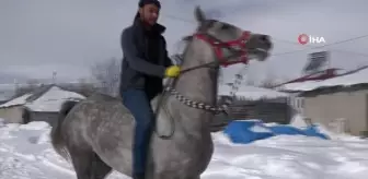 Atlar kar üstünde yarışa böyle hazırlanıyor