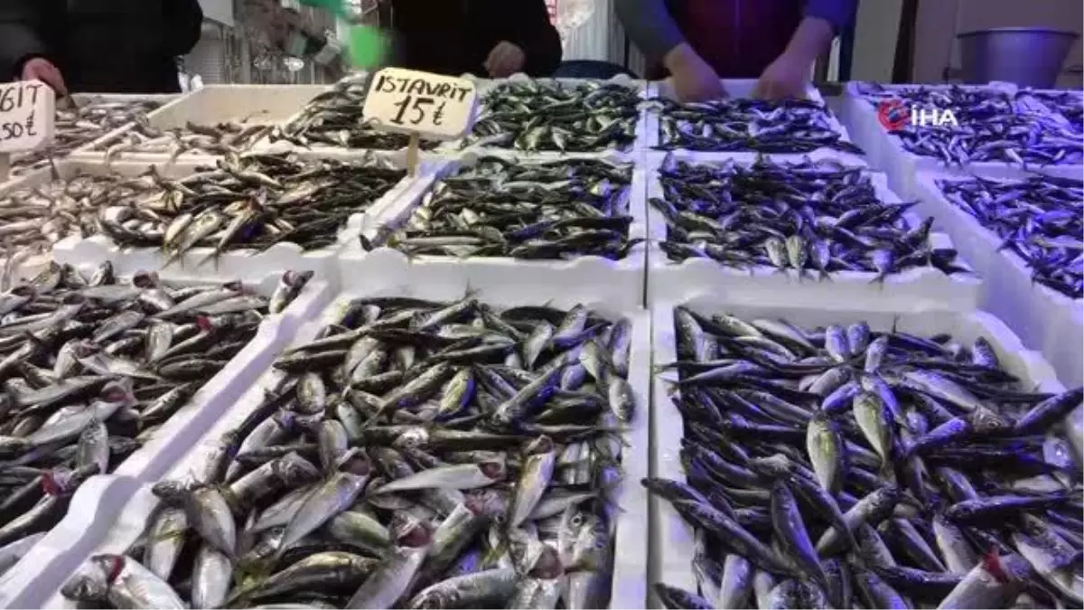 Balıkçılar istavrit ile teselli buldu