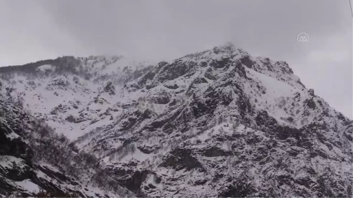 Karadeniz\'i Güneydoğu\'ya bağlayan kara yolunun çığ tünelleri sürücülere "can simidi" oluyor