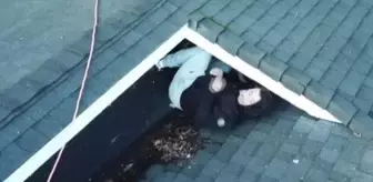 Çatıya saklanan hırsız, droneden kaçamadı
