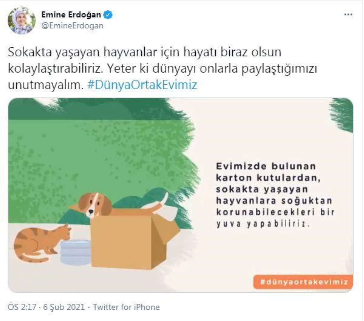 Emine Erdoğan: Sokakta yaşayan hayvanlar için hayatı biraz olsun kolaylaştırabiliriz