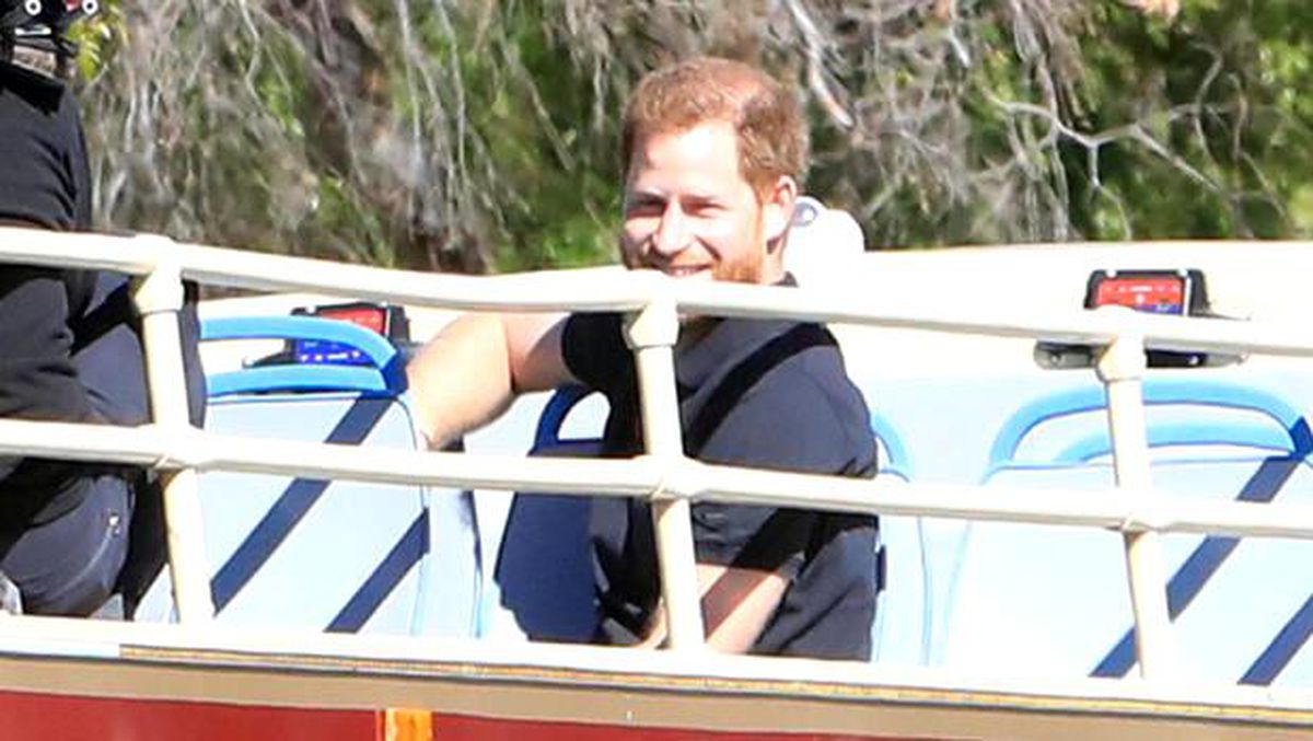 Harry, turist gibi