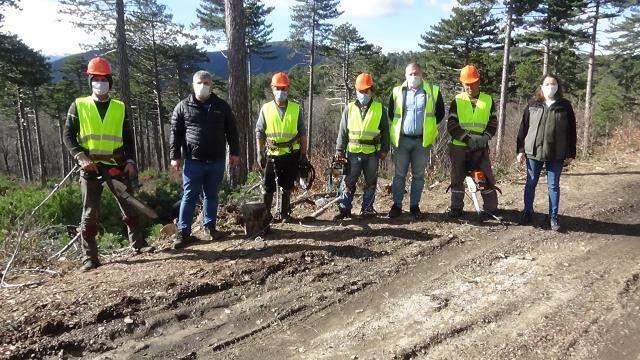 40 metrelik a�a�lara t�rmanarak budama yapan 'sincap adamlar' ayl�k 15 bin lira kazan�yor