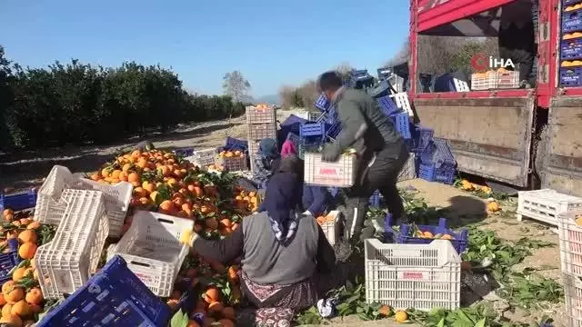 Çiftçi üretiyor aracı kazanıyor ile ilgili görsel sonucu