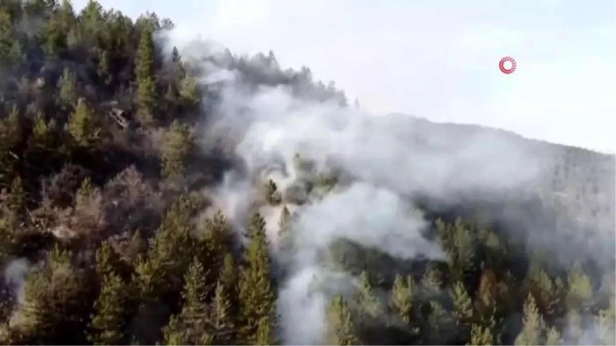 Taşköprü ve Boyabat sınırında 2 ayrı orman yangını