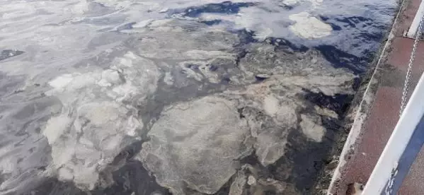 Gemilerden sızdığı tahmin edilen kimyasallar İzmit Körfezi'nde kirliliğe neden oldu (2)