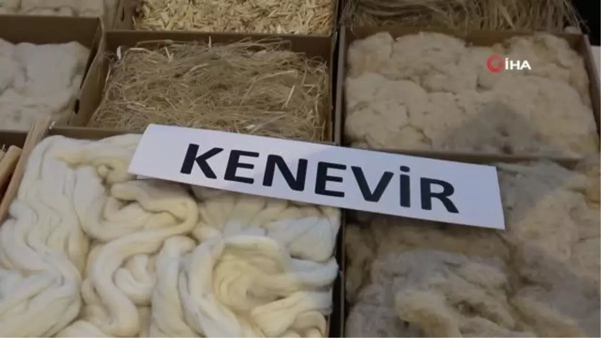 Veganlar için \'kenevir sütü\'