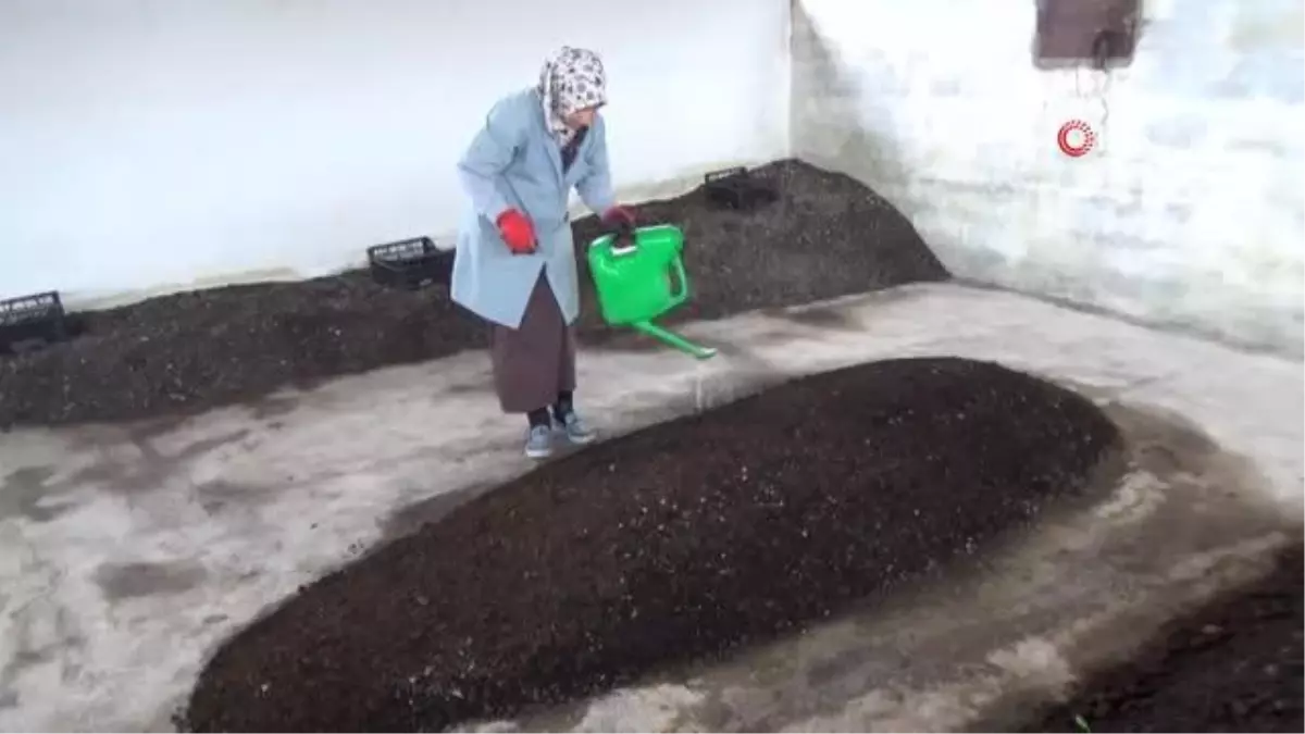 2 üniversite mezunu kadın, organik solucan gübresi üretiyor