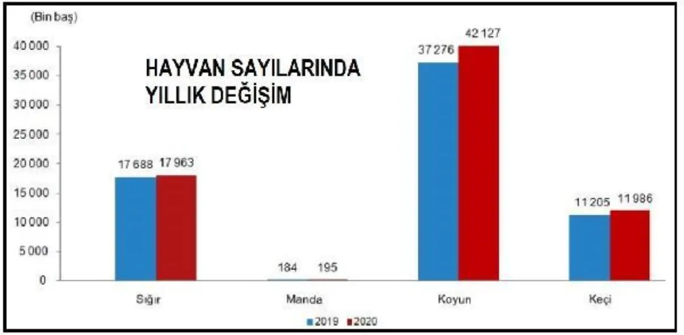 Büyük ve küçükbaş hayvan sayısı 72 milyonu aştı