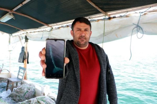 Prof. Dr. Çevik: Adana'da görülen oluklu balina, dünyanın ikinci büyük balina türü (2)