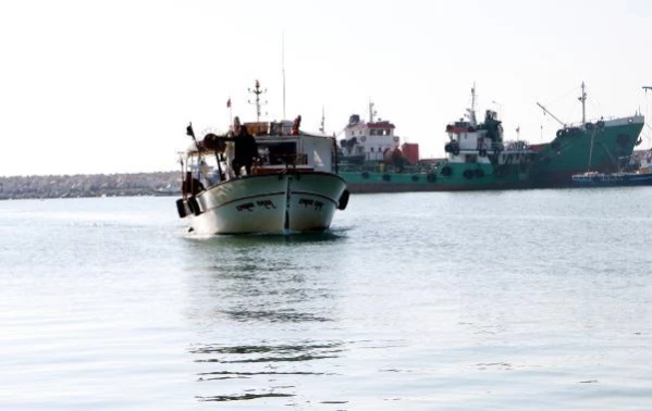 Prof. Dr. Çevik: Adana'da görülen oluklu balina, dünyanın ikinci büyük balina türü (2)