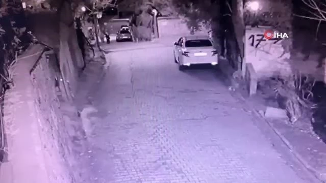 Yavru köpeğin otomobilin altında kaldığı anlar kamerada