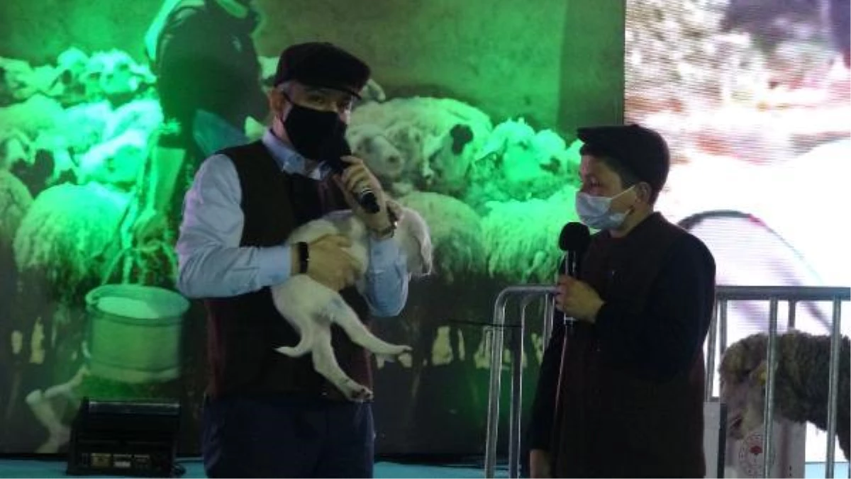 Bakan Pakdemirli, 12 yaşındaki fenomen çoban Şevki\'ye koyun ve köpek hediye etti