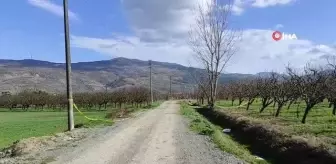 Başından vurulmuş halde yol kenarında bulunmuştu, olayda 1 şahıs tutuklandı