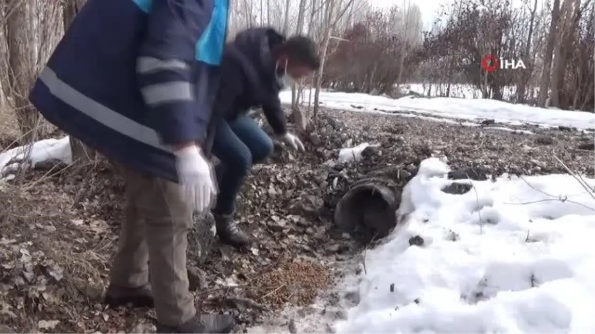 Boru içerisinde sıkışan yavru köpekler kurtarıldı