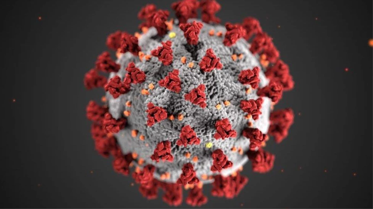 İngiltere\'de endişe verici bir koronavirüs mutasyonu daha bulundu