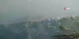 Irmakta yaşanan toplu balık ölümleri tedirgin etti