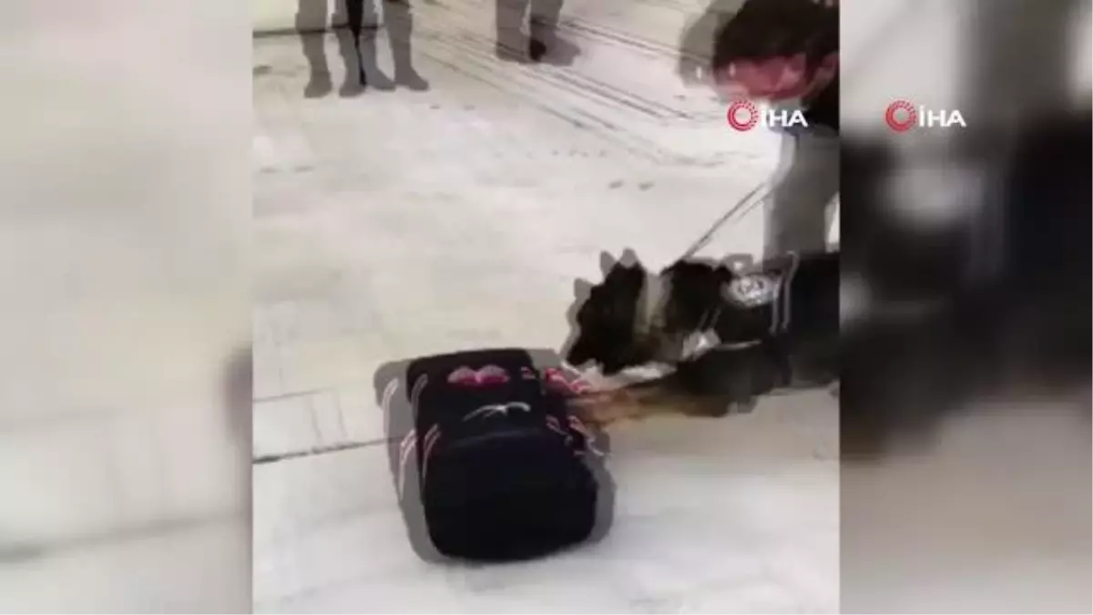 Son Dakika | Milas ve Fethiye\'de uyuşturucu operasyonu