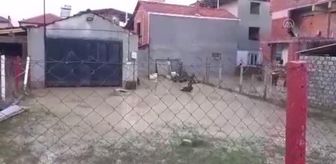 Şiddetli yağışta birçok ev sular altında kaldı