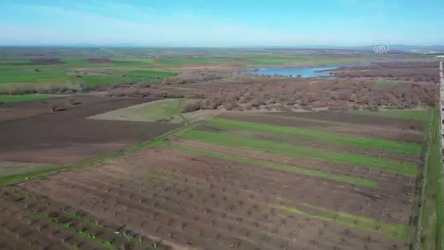 Üretime açılan hazine arazileri çiftçiye ek gelir kapısı oldu