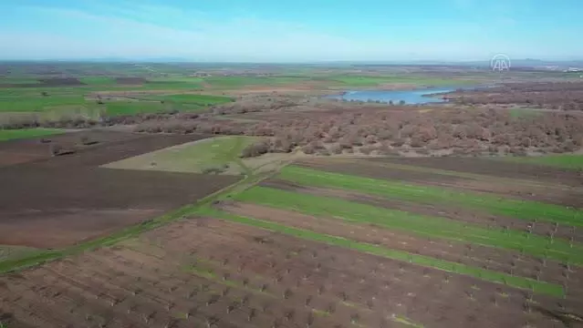 Üretime açılan hazine arazileri çiftçiye ek gelir kapısı oldu