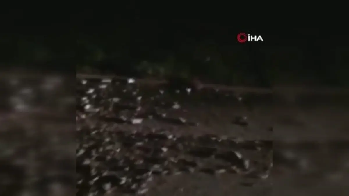 Son dakika haber: Hortum ortalığı savaş alanına çevirdi