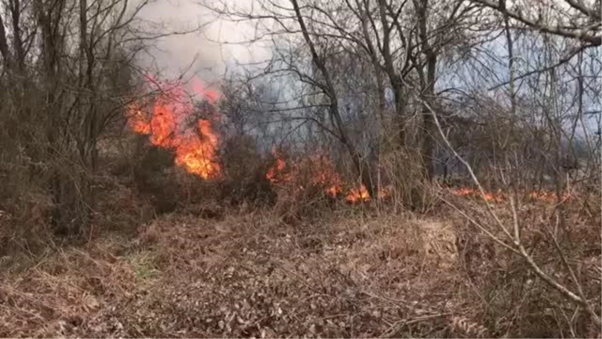 Beykoz\'daki orman yangını kontrol altına alındı